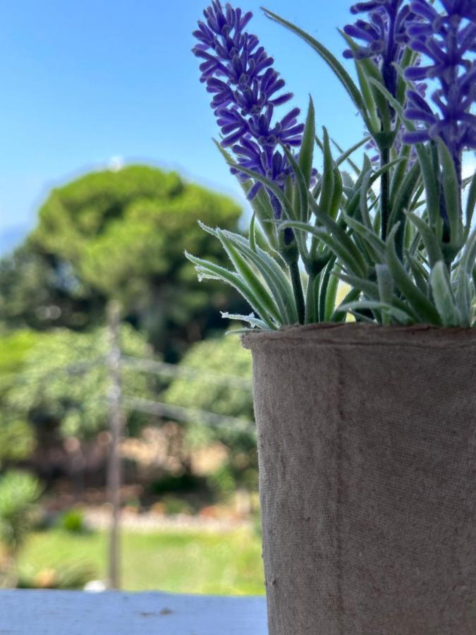 Olia Apartment Corfu  Exterior foto